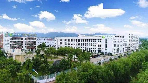 天台乡贤王道龙投资8亿元在武汉建设智能工厂，正式开工引领智能制造新篇章